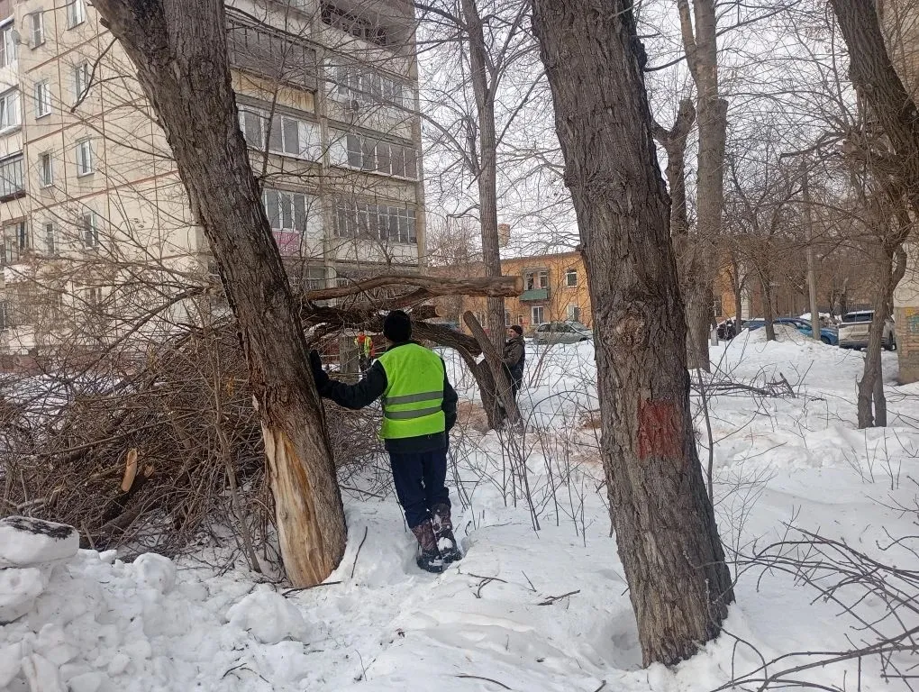 Администрация Тракторозаводского района г. Челябинска