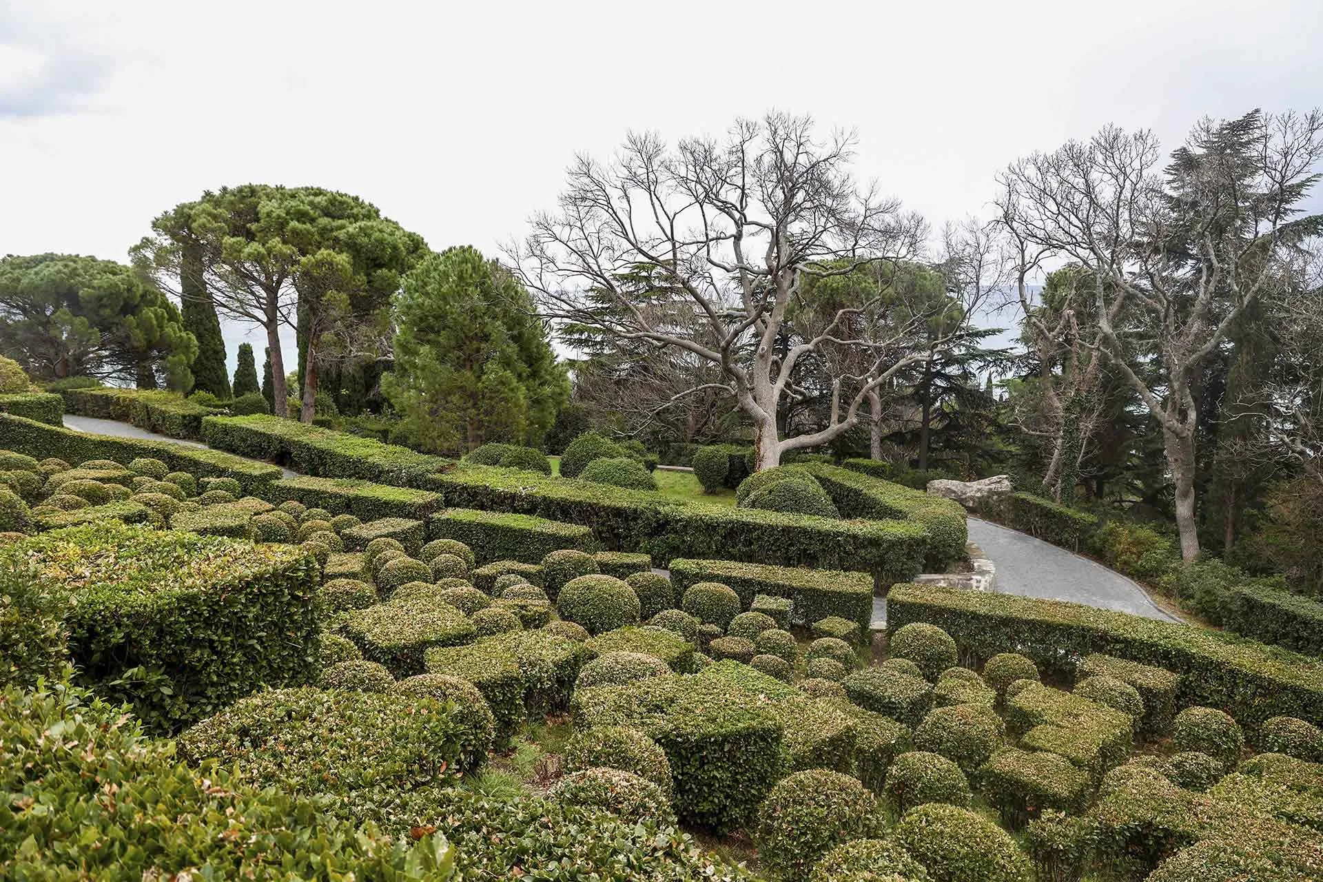 Алена Бжахова/ТАСС
