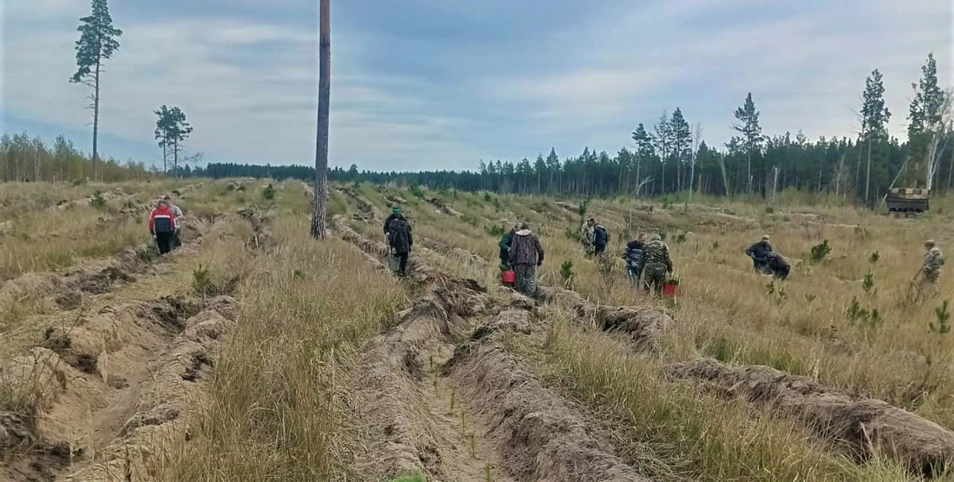 Министерство природных ресурсов и экологии Алтайского края