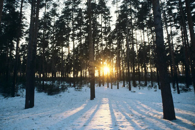 По&nbsp;России с&nbsp;любовью: встречаем весну в&nbsp;Мещере