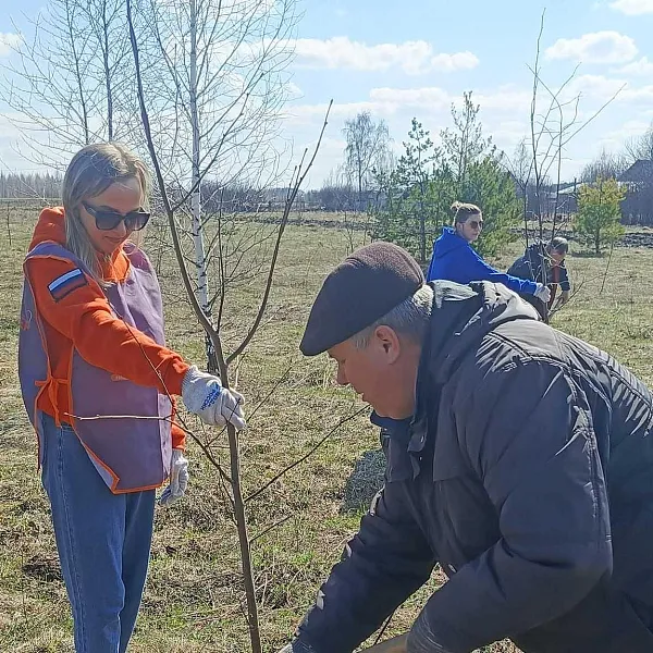 В&nbsp;поселке Майна Ульяновской области прошла акция &laquo;Сад памяти&raquo;