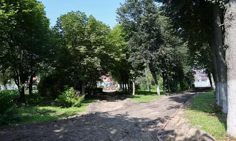 Более 150&nbsp;зеленых насаждений высадят в&nbsp;сквере города Яхрома в&nbsp;Подмосковье