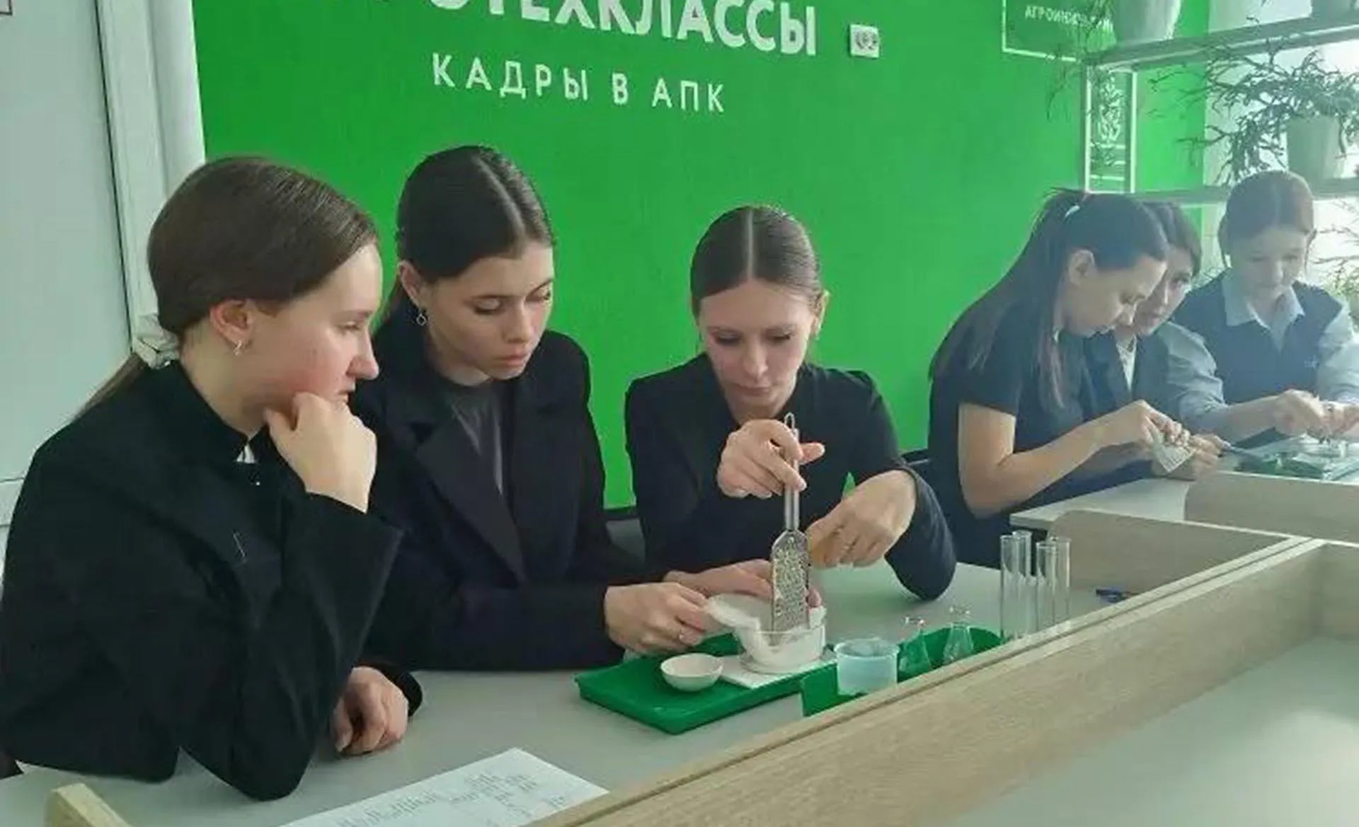 Администрация Белозерского муниципального округа