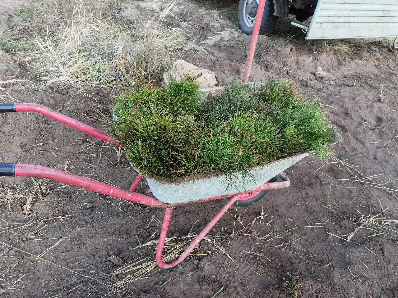 Минприроды Саратовской области