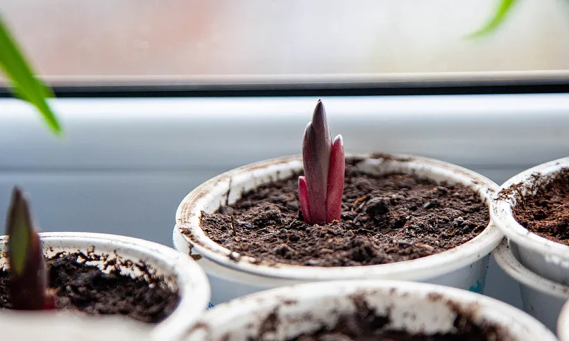 В&nbsp;двух школах Баксанского района Кабардино-Балкарии откроются агротехклассы