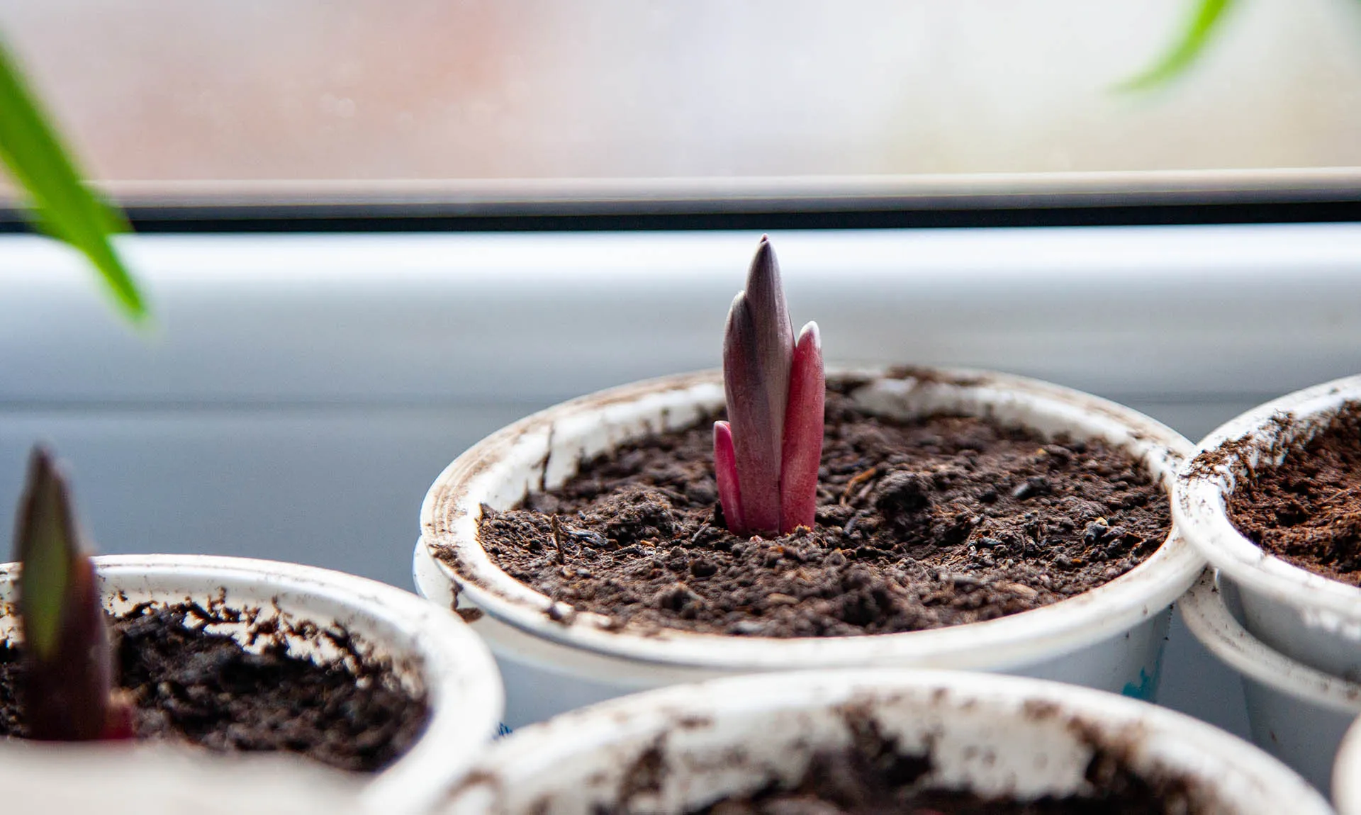  Оксана Король/Бизнес Online/ТАСС