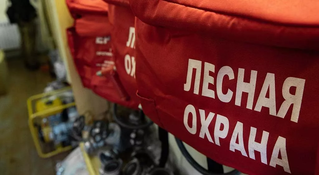 Анна Майорова/URA.RU/ТАСС