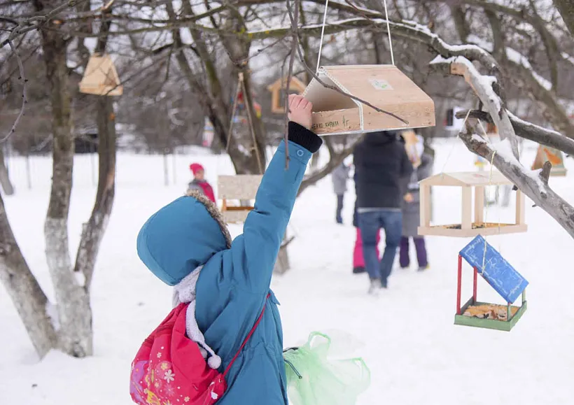 Жители Подмосковья в&nbsp;ходе экоакции развесили более 18&nbsp;тысяч кормушек