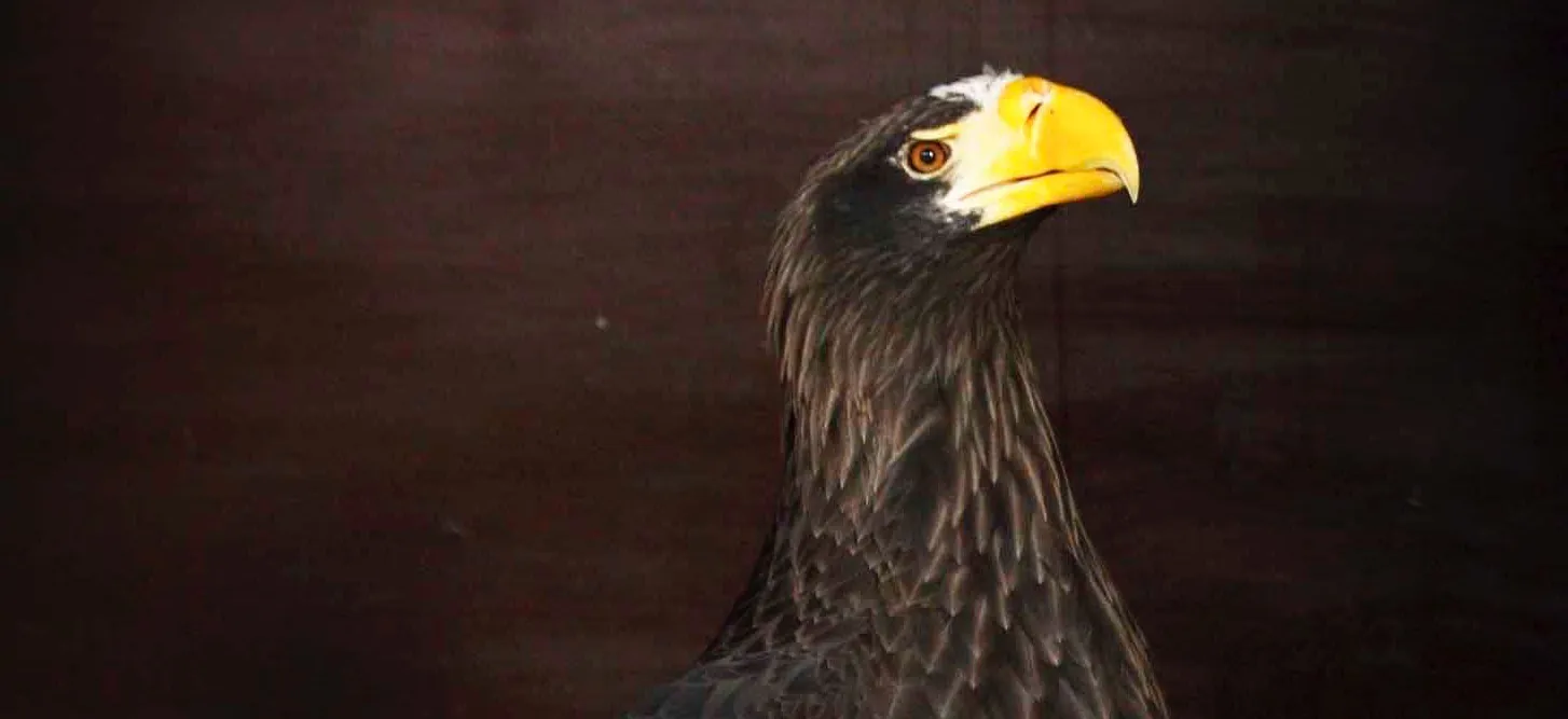 Министерство природных ресурсов и охраны окружающей среды Удмуртской Республики