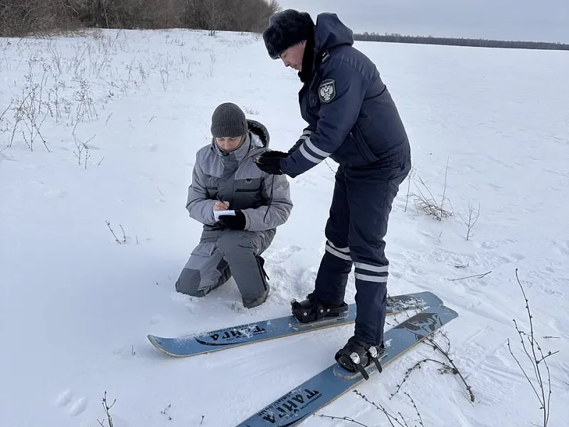 В&nbsp;Спасском районе Татарстана до&nbsp;15&nbsp;марта пересчитают диких животных и&nbsp;птиц