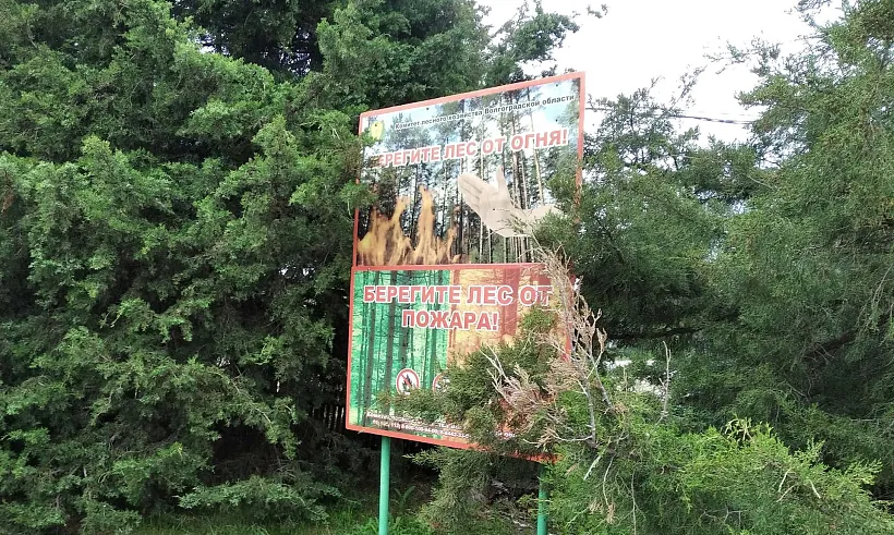 В&nbsp;Волгоградской области снизилось количество лесных пожаров