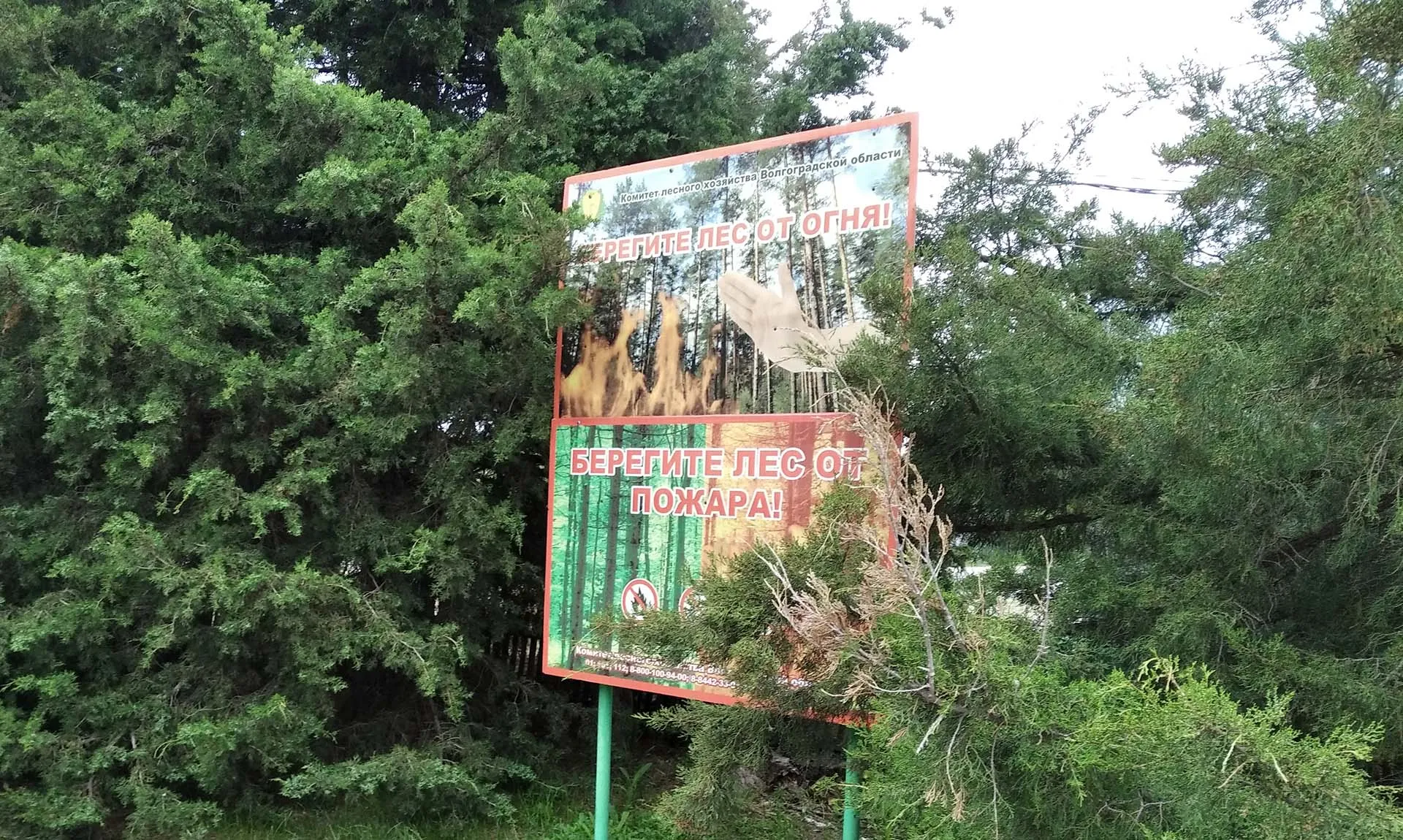  Комитет природных ресурсов, лесного хозяйства и экологии Волгоградской области