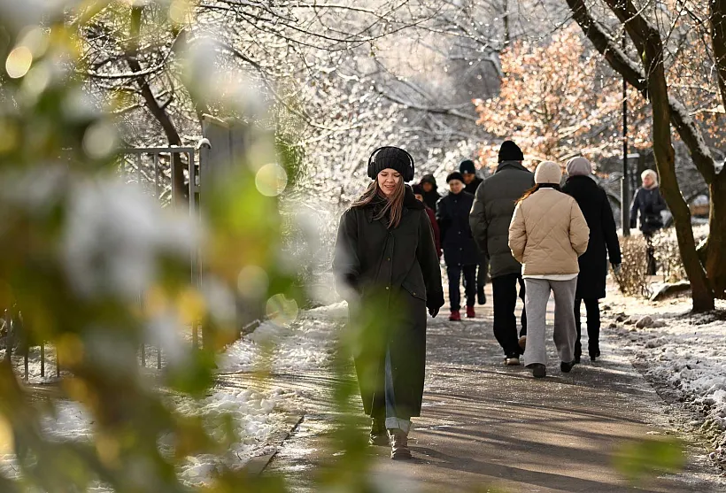 В&nbsp;городе Алейске Алтайского края благоустроят сквер и&nbsp;пешеходную зону