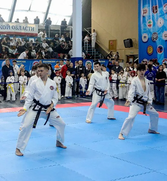 В&nbsp;Саратове прошли чемпионат и&nbsp;первенство ПФО по&nbsp;тхэквондо ГТФ