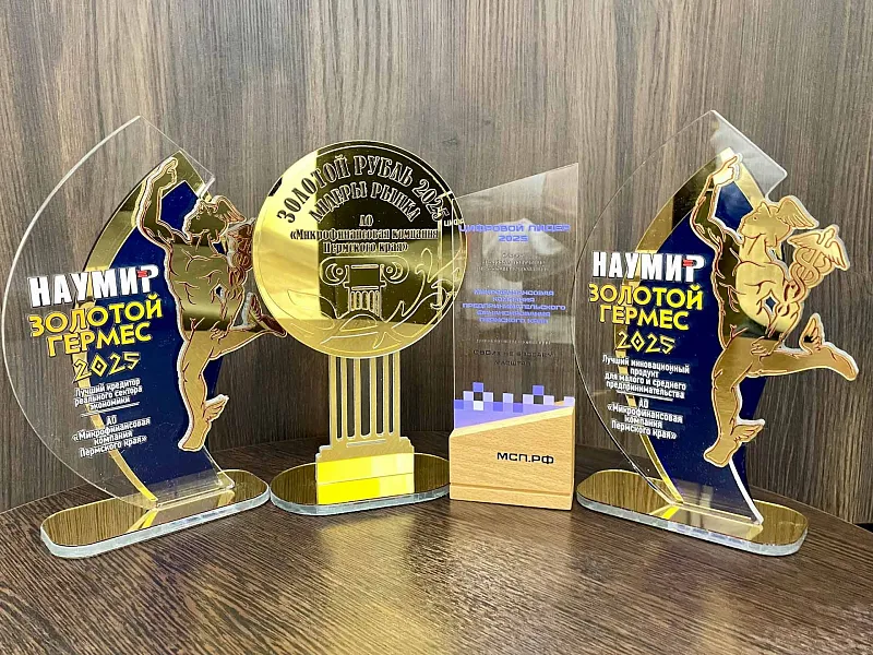 Микрофинансовая компания Прикамья получила несколько наград