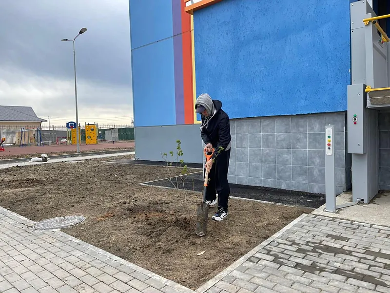 Во&nbsp;дворах новых детсадов Астрахани высадили сотни деревьев и&nbsp;кустарников