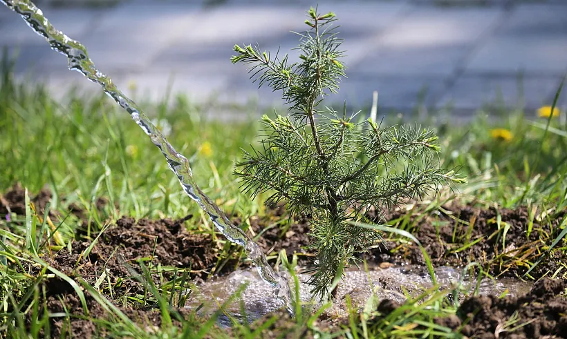 Более 200&nbsp;человек приняли участие в&nbsp;субботнике в&nbsp;Курчалоевском районе Чечни