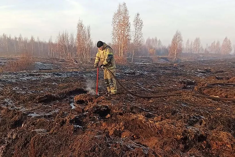На&nbsp;Алтае утвердили план тушения лесных пожаров на&nbsp;предстоящий сезон