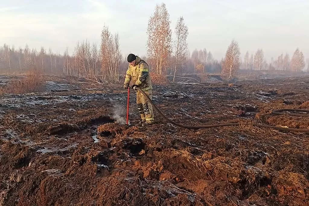 МЧС России/ТАСС