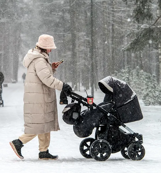 Кабмин утвердил план по&nbsp;реализации стратегии семейной политики