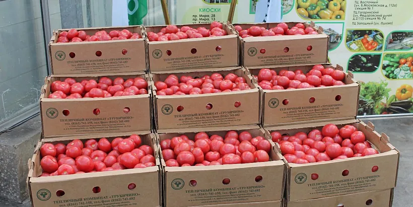 В&nbsp;Новгородской области собрали 11,7&nbsp;тысячи тонн овощей защищенного грунта