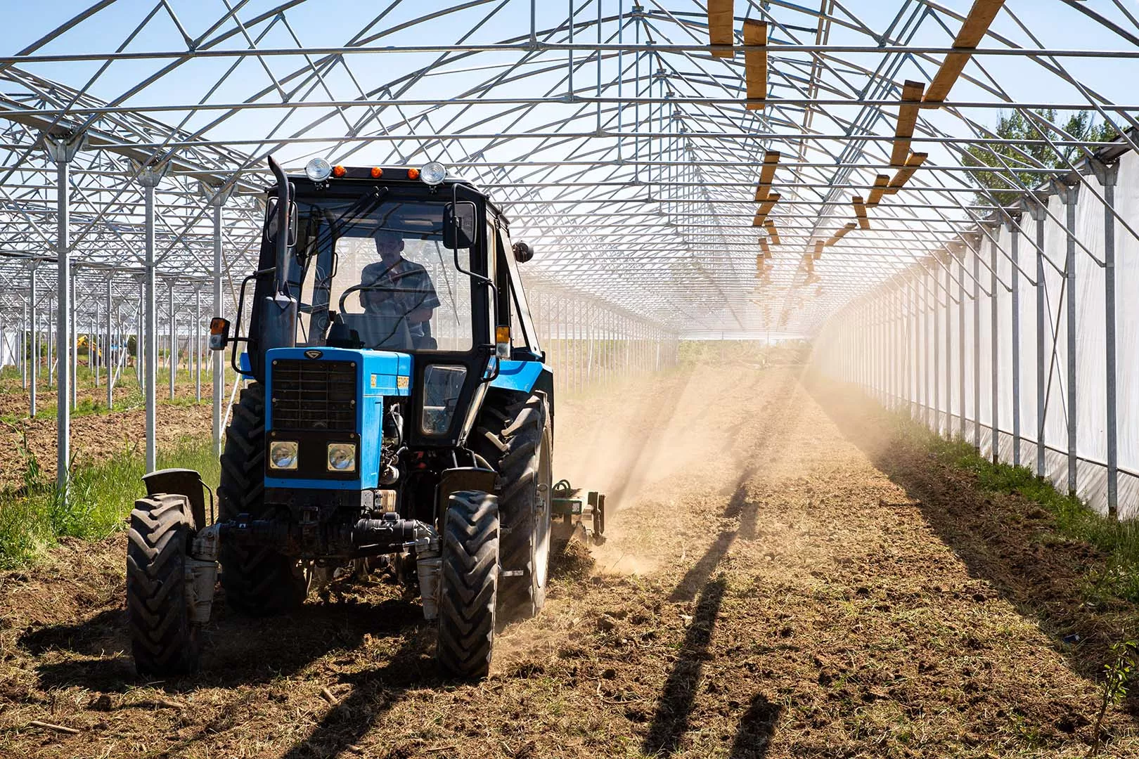 Пресс-служба КФУ имени В.И. Вернадского