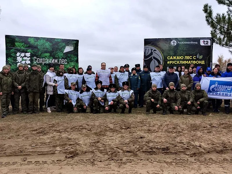 На&nbsp;Дону в&nbsp;лесничестве высадили 10&nbsp;тысяч сеянцев сосны