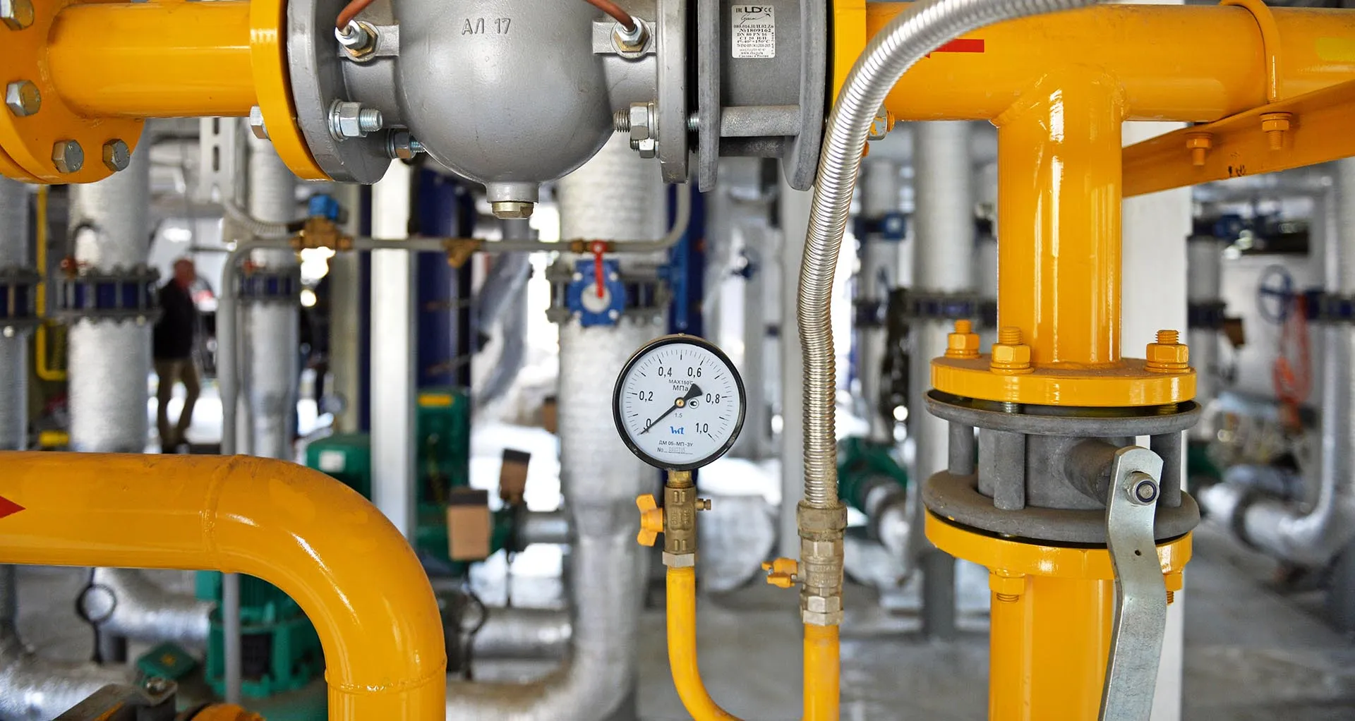 Павел Лисицын/РИА Новости