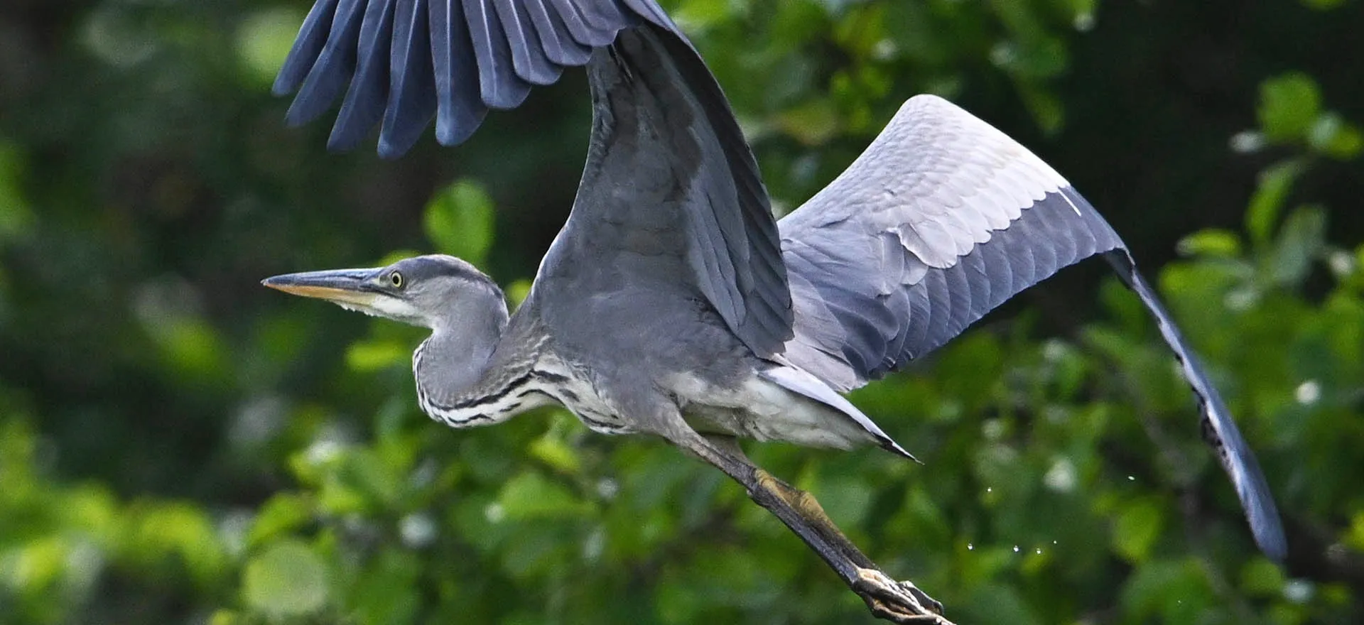 Павел Бедняков / РИА Новости