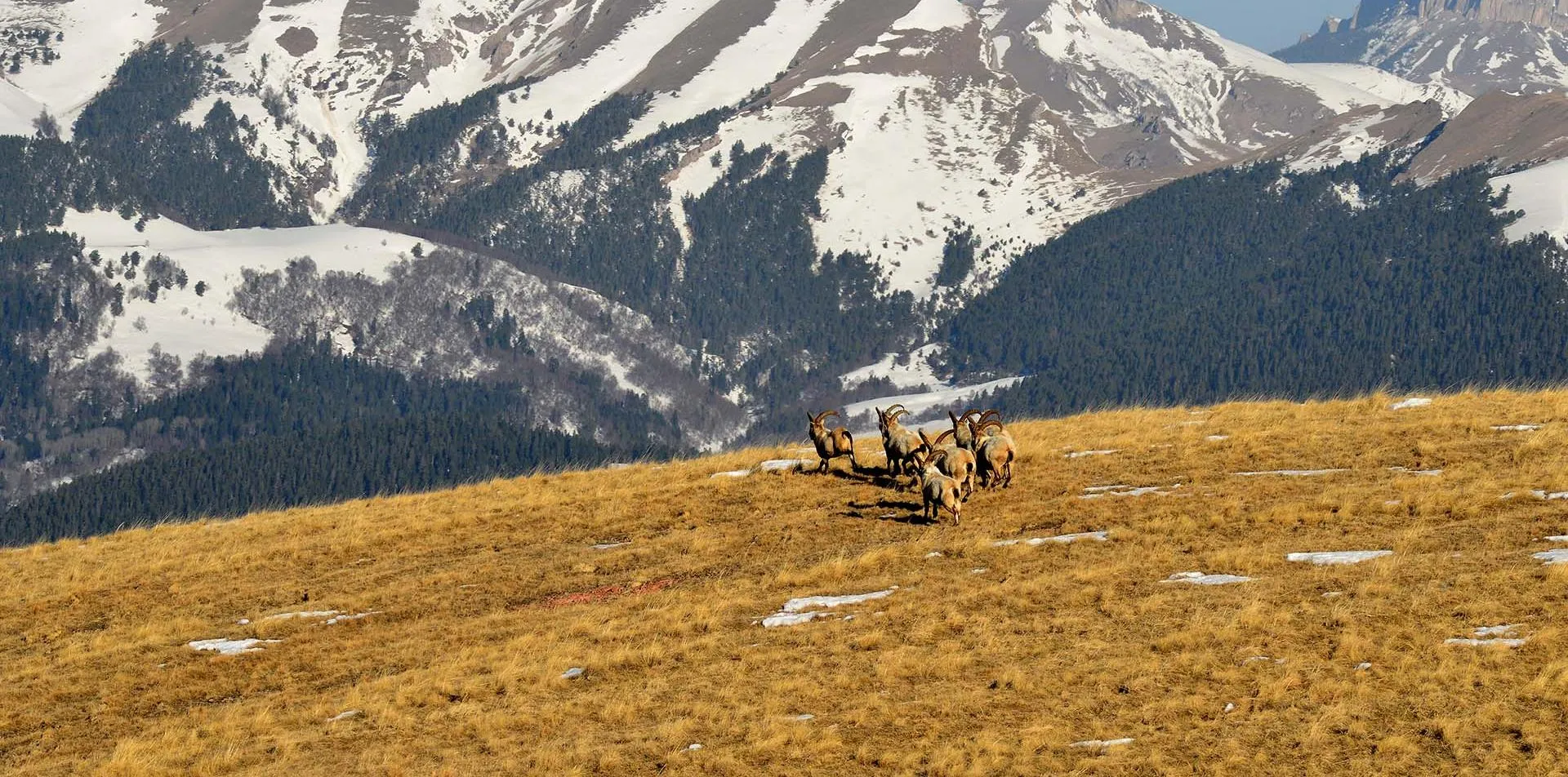 Игорь Онучин/РИА Новости