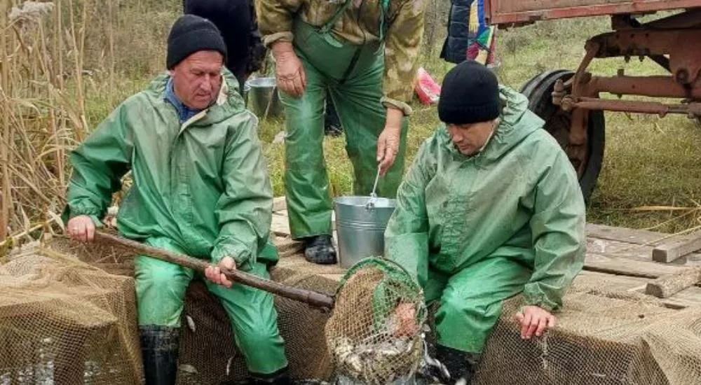 Служба природопользования и охраны окружающей среды Астраханской области