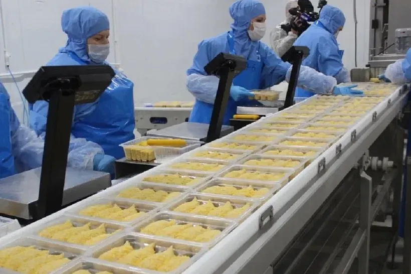 На&nbsp;Дону в&nbsp;2024&nbsp;году произвели почти 70&nbsp;тысяч тонн мяса индейки и&nbsp;утки