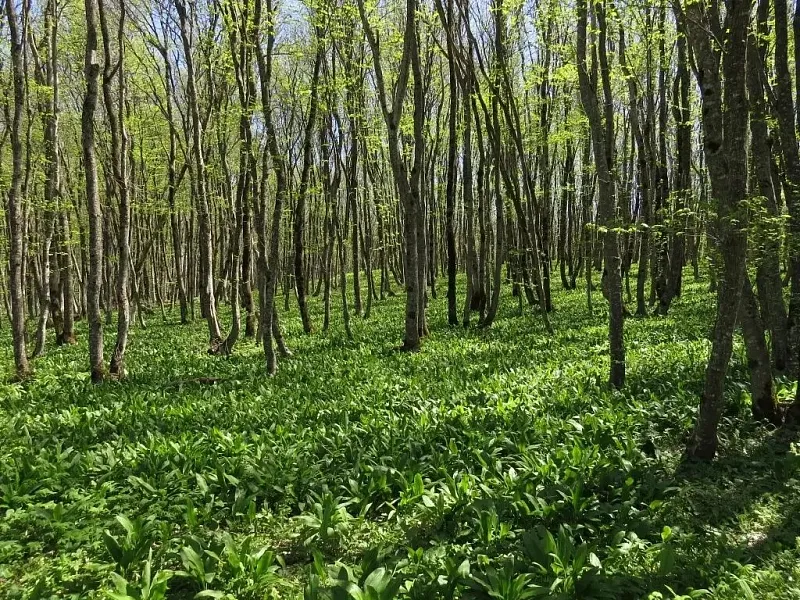 Экотропы Ставрополья готовят к&nbsp;новому туристическому сезону