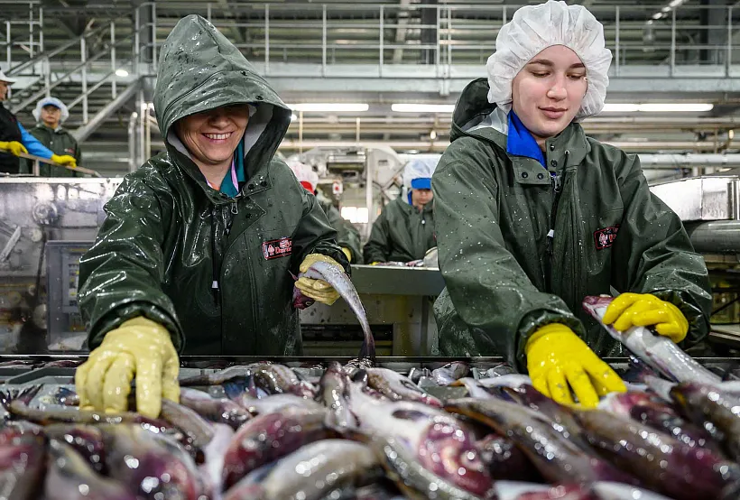 Компании Новосибирской области планируют увеличить производительность на&nbsp;5%