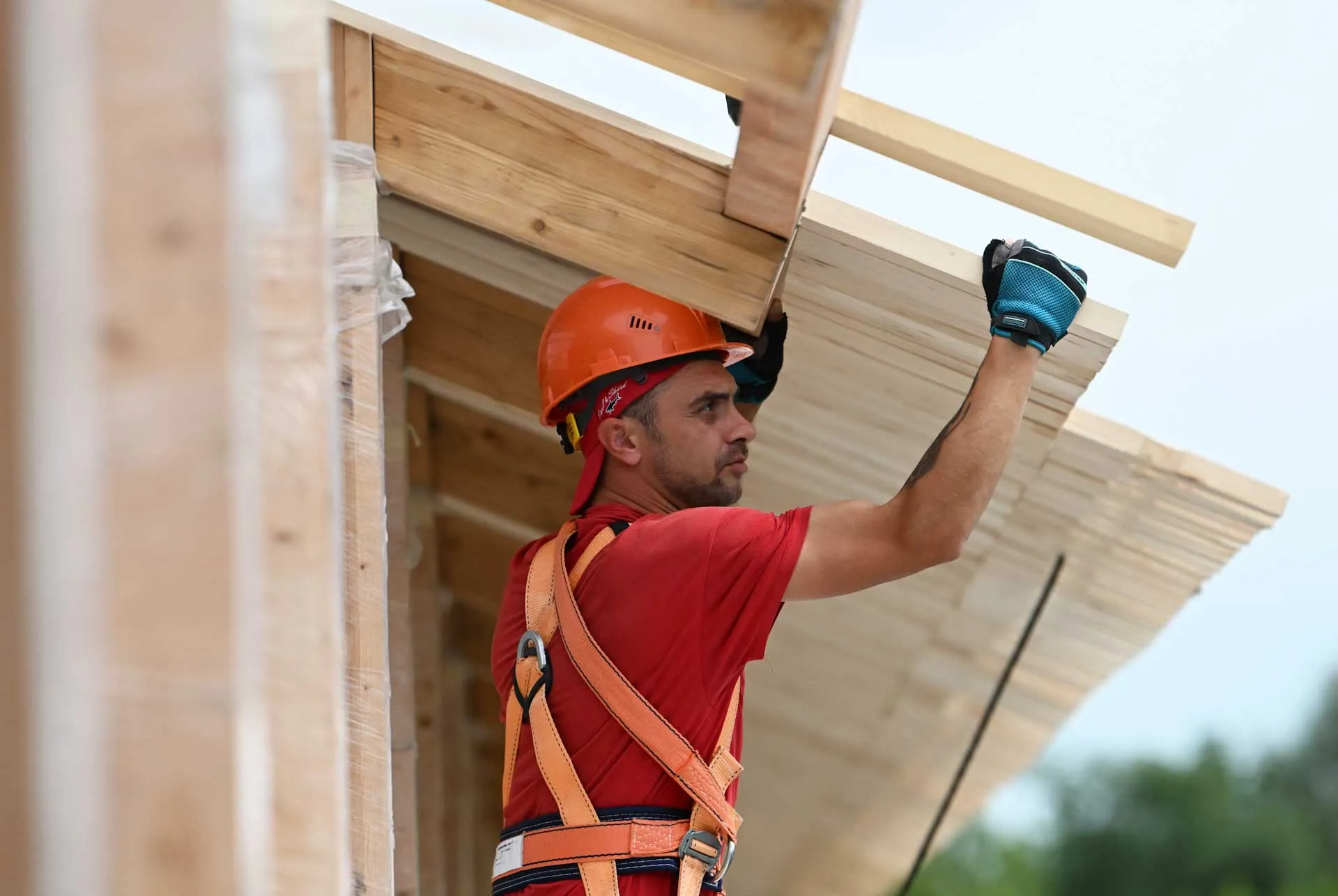 Максим Блинов/РИА Новости