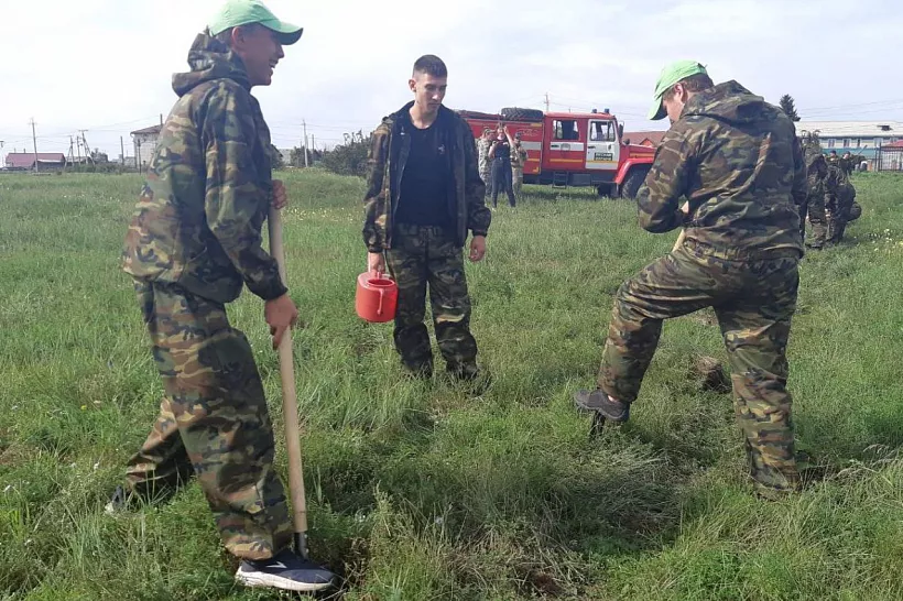 В&nbsp;парке поселка Залари в&nbsp;Иркутской области высадили сосны