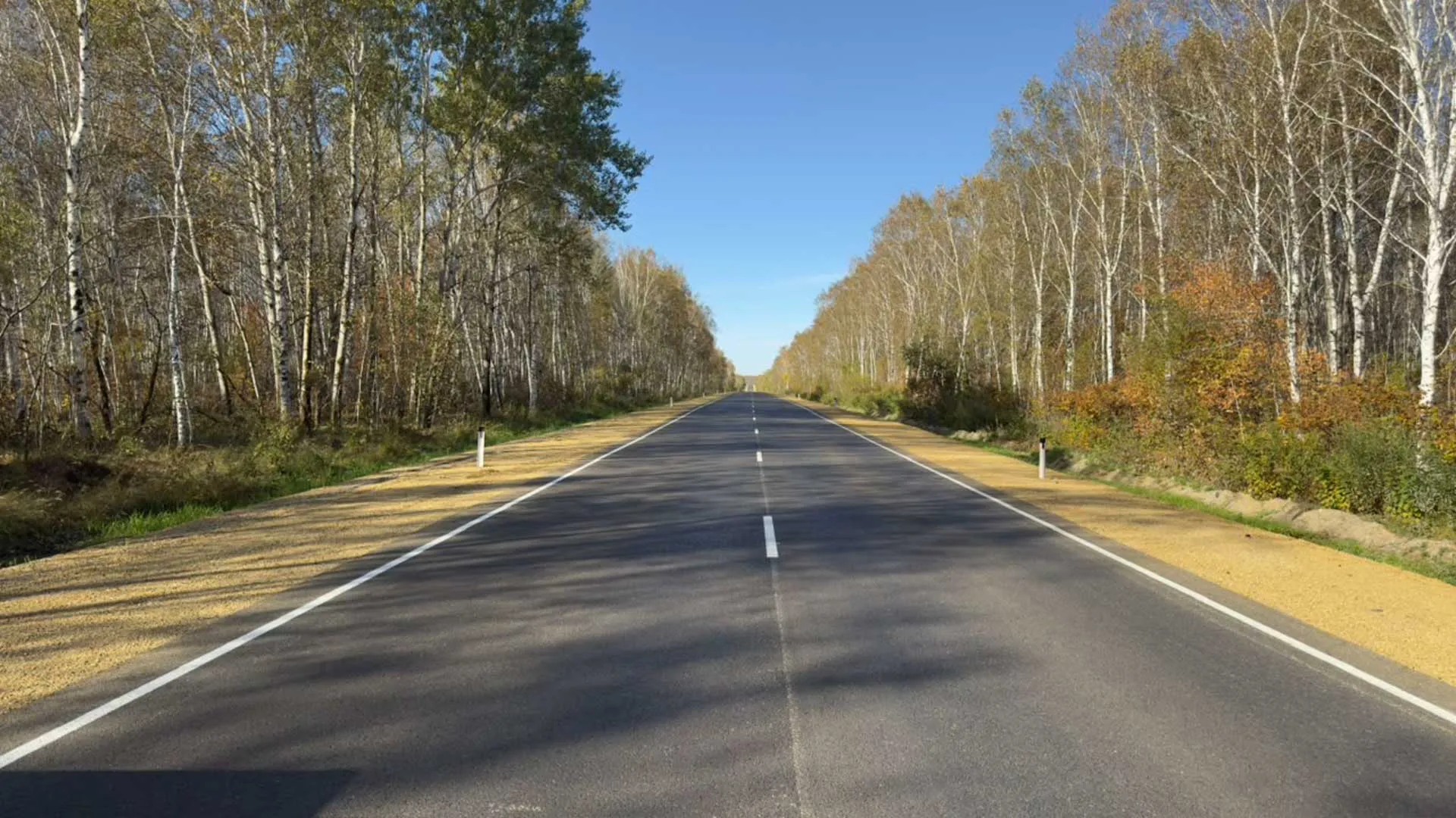 Министерство транспорта и дорожного хозяйства Амурской области