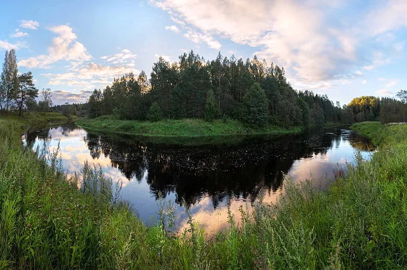 В&nbsp;Ленобласти создали охранные зоны памятников природы