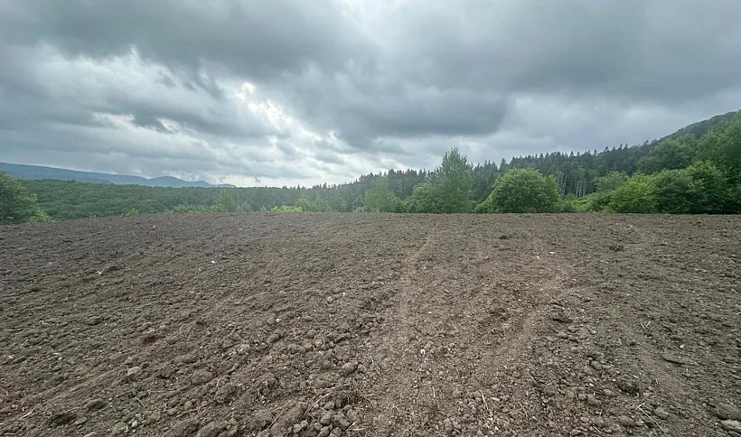 На&nbsp;Сахалине рекультивировали свалку площадью 3,7&nbsp;гектара