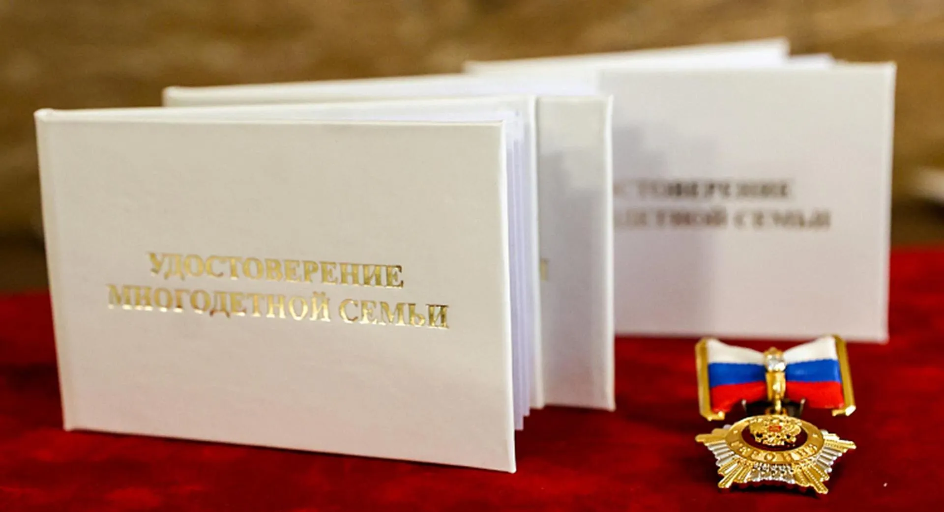 Агентство проектного управления Приморского края