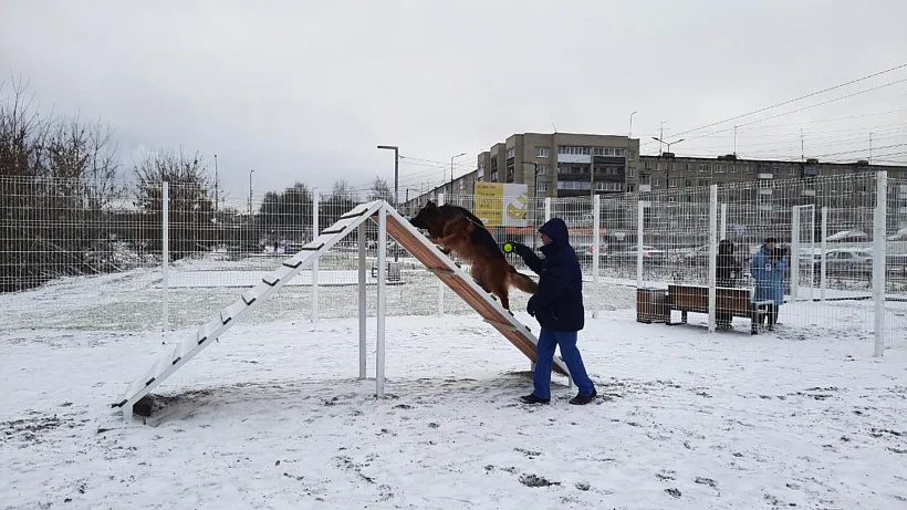 В&nbsp;Ревде Свердловской области оборудовали площадку для&nbsp;выгула собак