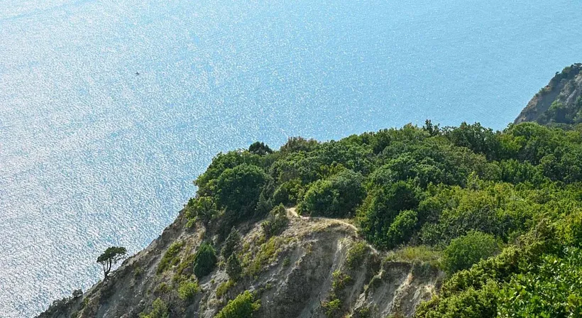 В&nbsp;Новороссийске откроют турмаршрут от&nbsp;виноградников до&nbsp;побережья