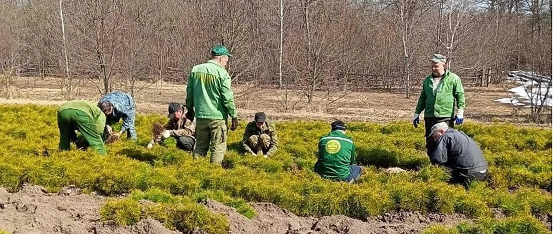 Управление лесного хозяйства Липецкой области