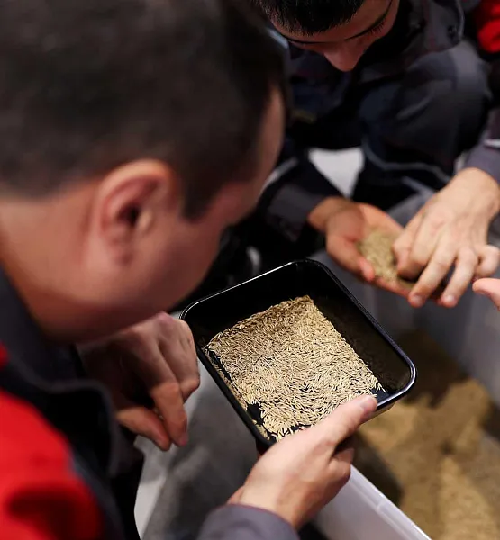 В&nbsp;Ингушетии проверили 400&nbsp;килограммов семян лесных растений