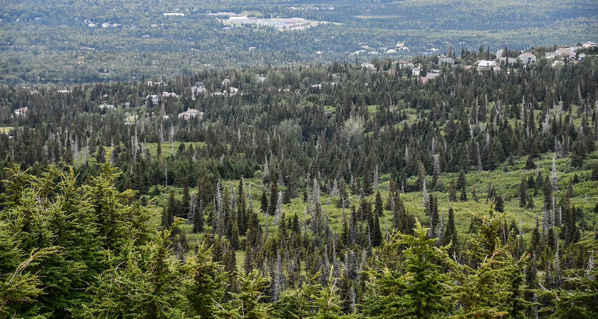 Алексей Алексеев/РИА Новости