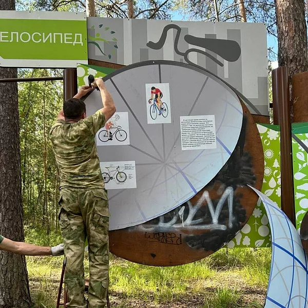 На&nbsp;экотропе &laquo;Спортивная&raquo; в&nbsp;Челябинском городском бору обновили стенды