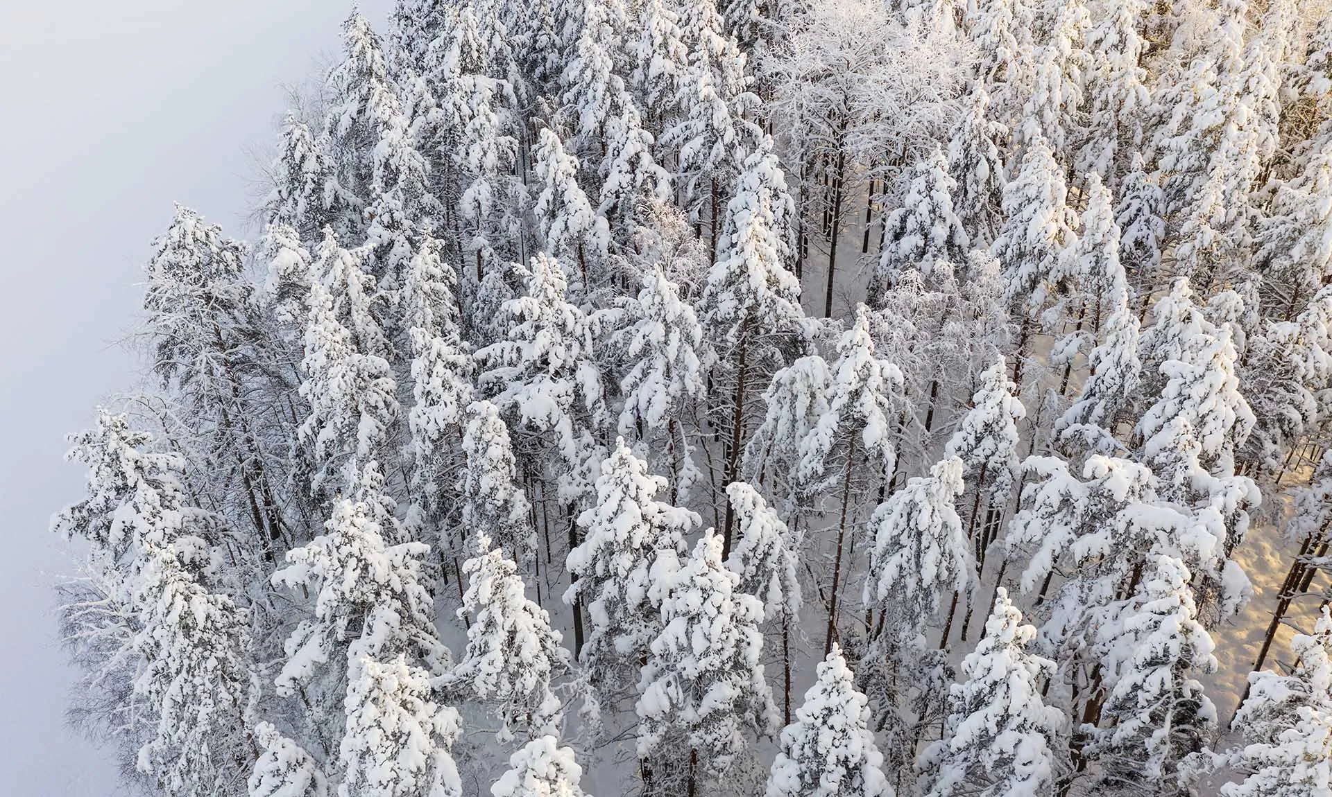 Илья Тимин/РИА Новости 