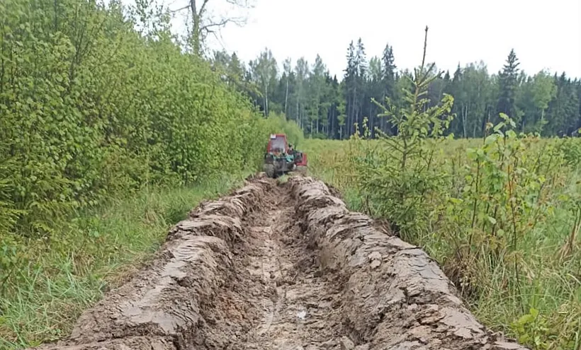 В&nbsp;Подольском лесничестве план противопожарных мероприятий выполнен на&nbsp;100%