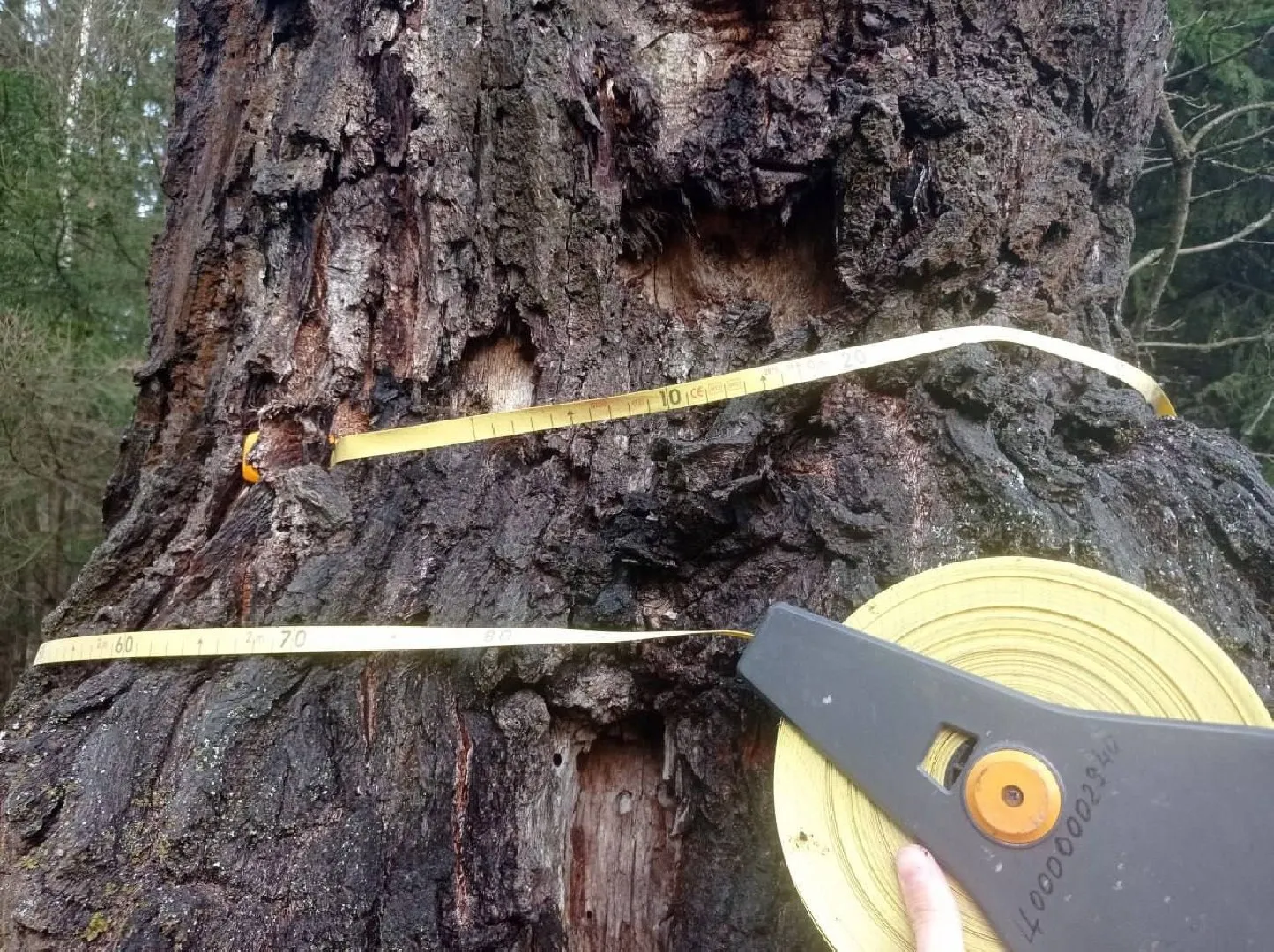 Министерство информации и молодежной политики Московской области