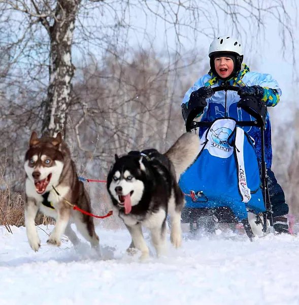 В&nbsp;2025&nbsp;году около 70&nbsp;гидов аттестовали в&nbsp;Новосибирской области